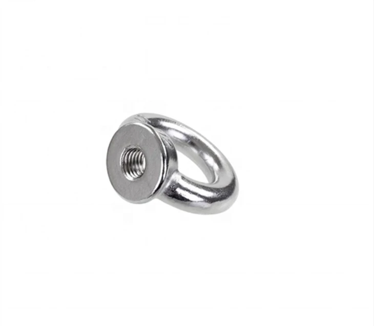 Stainless Steel Anchor Lifting DIN 582 Rings Nuts